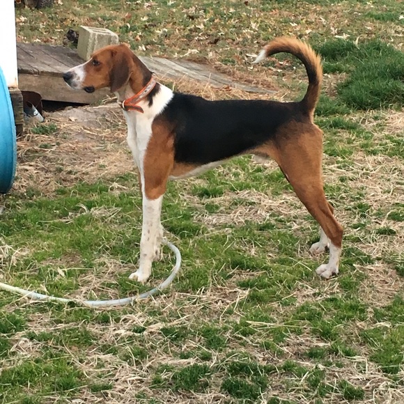 Meet your Posher, Lisa - Picture 2 of 3